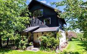 Silva Cabin - In The Heart Of Bran, Next To The Castle W/ Free Parking